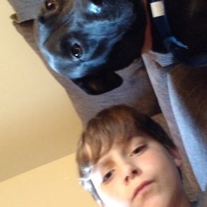 Meet your Posher, Landen